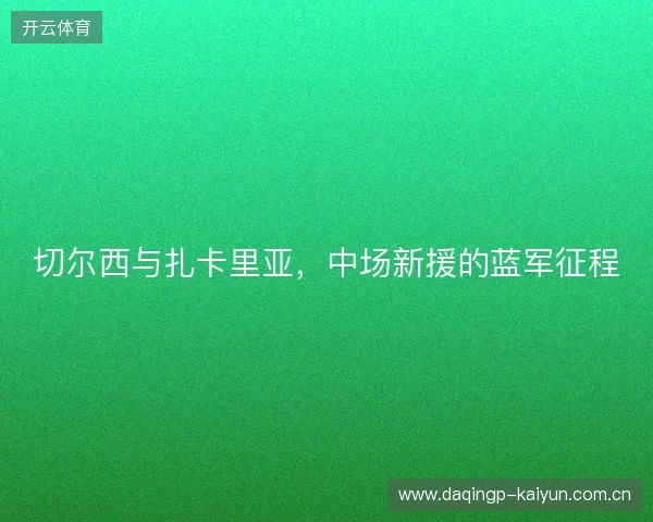 切尔西与扎卡里亚，中场新援的蓝军征程