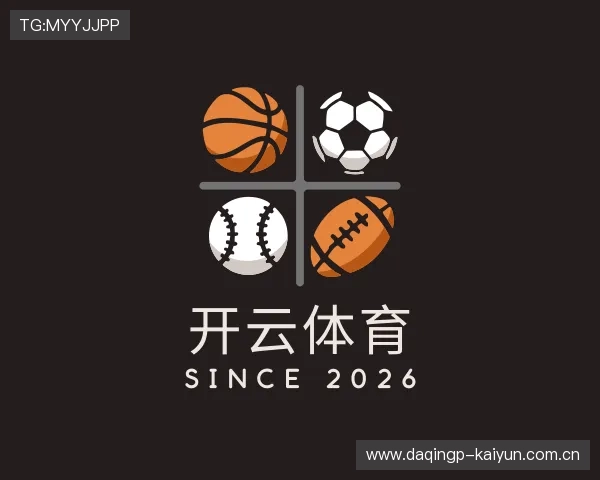 介绍开云体育app下载